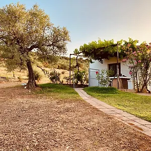 Arroyo Marco Guadalcanal